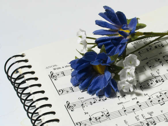 Flower on music 